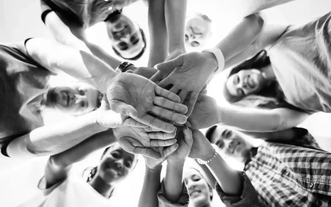 Reiss Motivation Profile® | Warum gute Entscheidungen unterschiedliche Perspektiven brauchen.
