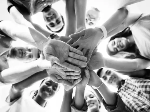 Reiss Motivation Profile® | Warum gute Entscheidungen unterschiedliche Perspektiven brauchen.